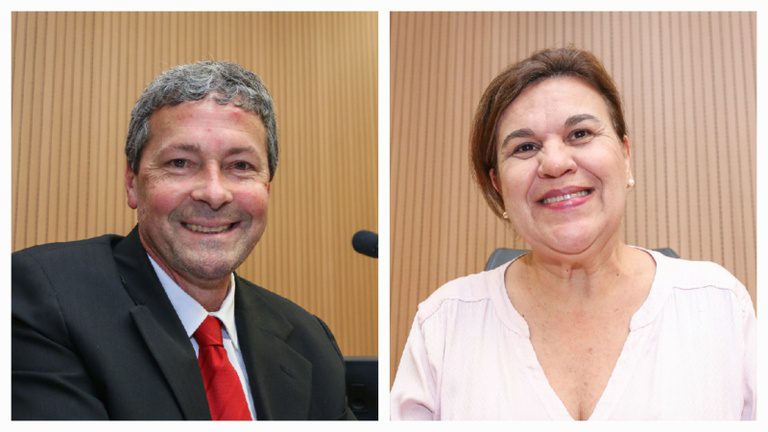 Por iniciativa de Debora Palermo e Paulo Bufalo, Câmara sedia Seminário Nacional Sobre Orfandade